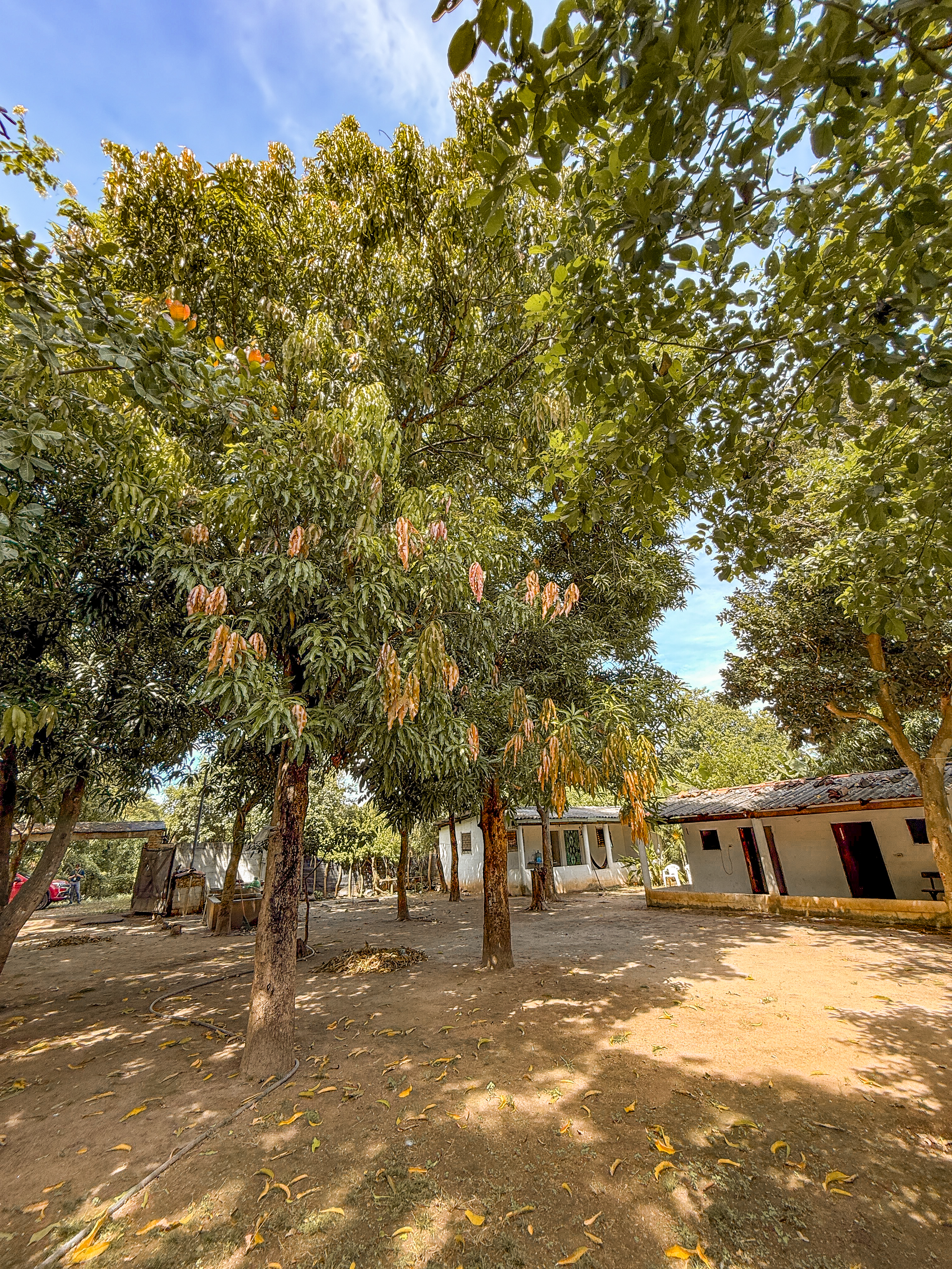 Terreno en venta Playa Toluca La Libertad