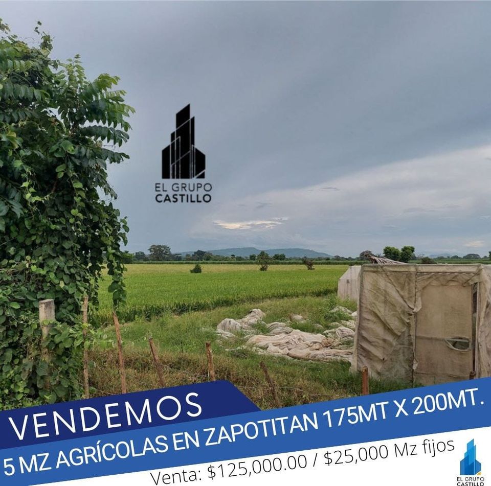 EN VENTA 5 MZ AGRÍCOLAS EN ZAPOTITAN 175mt X 200mt.